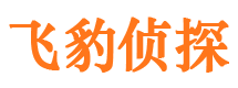 无为侦探公司